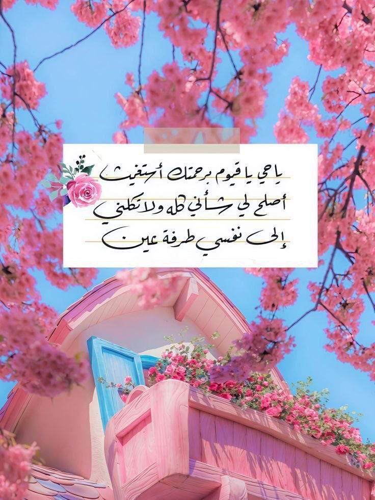 مُحمَّـدْ tweet media