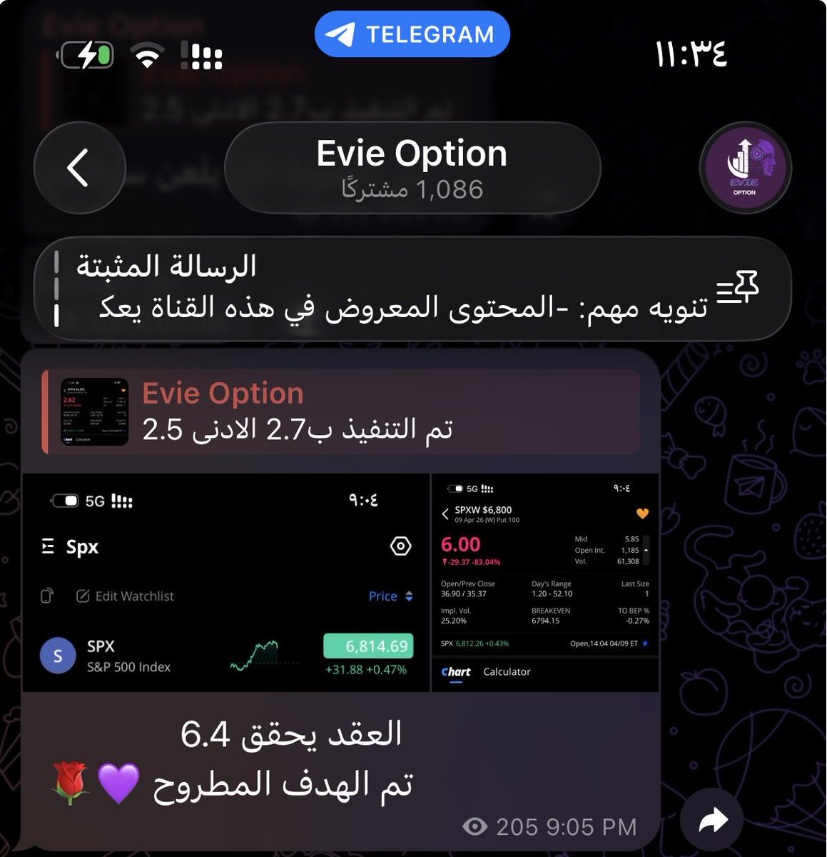 Evie Option tweet media