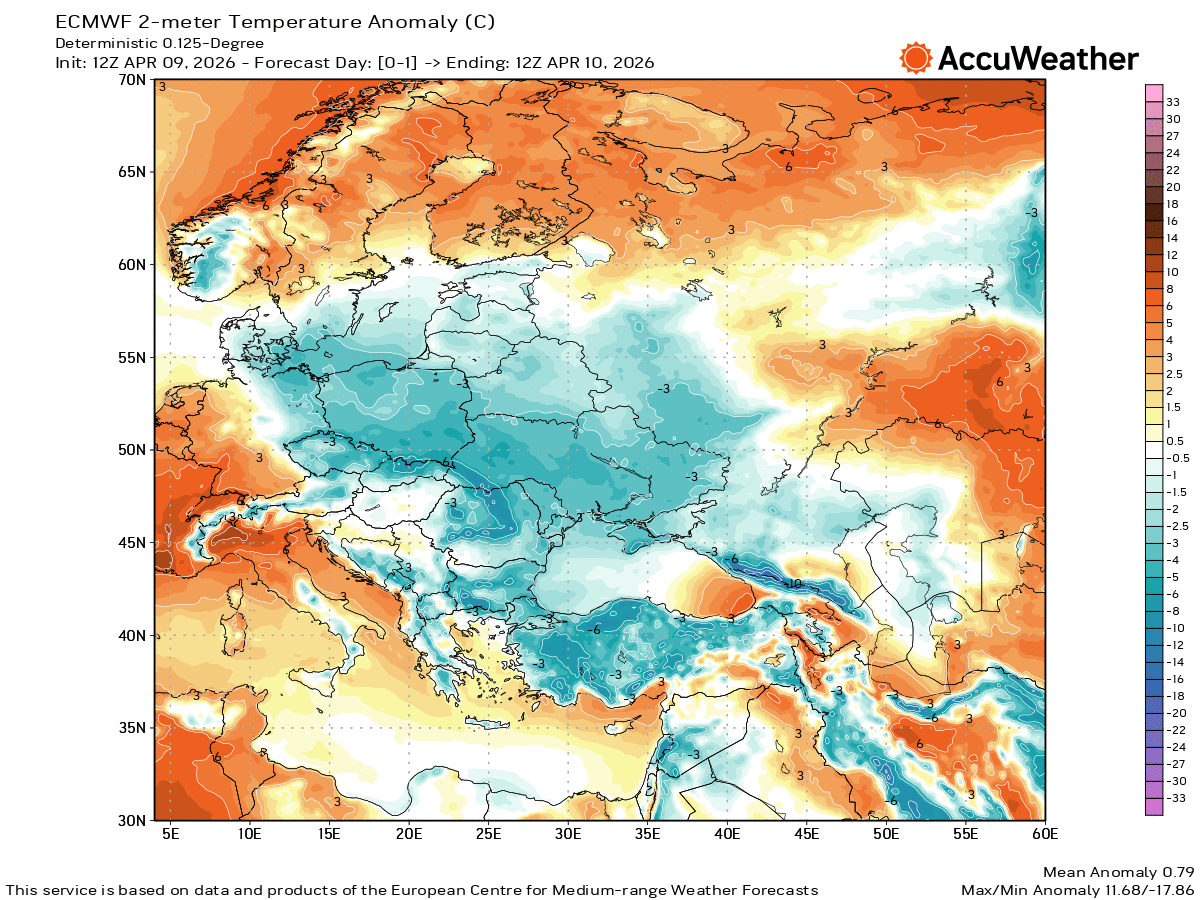 Bay Trakya tweet media