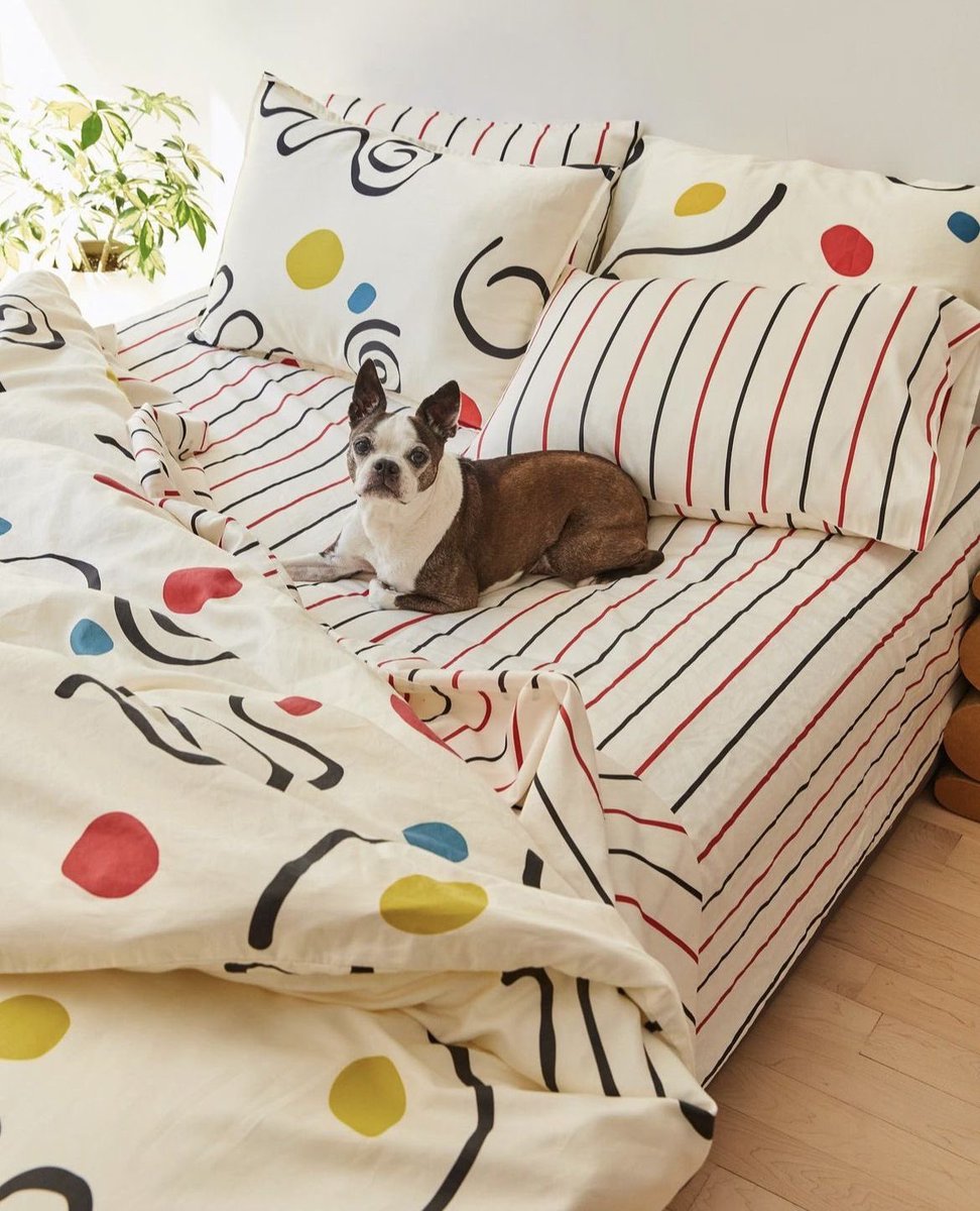 Renata El tweet media