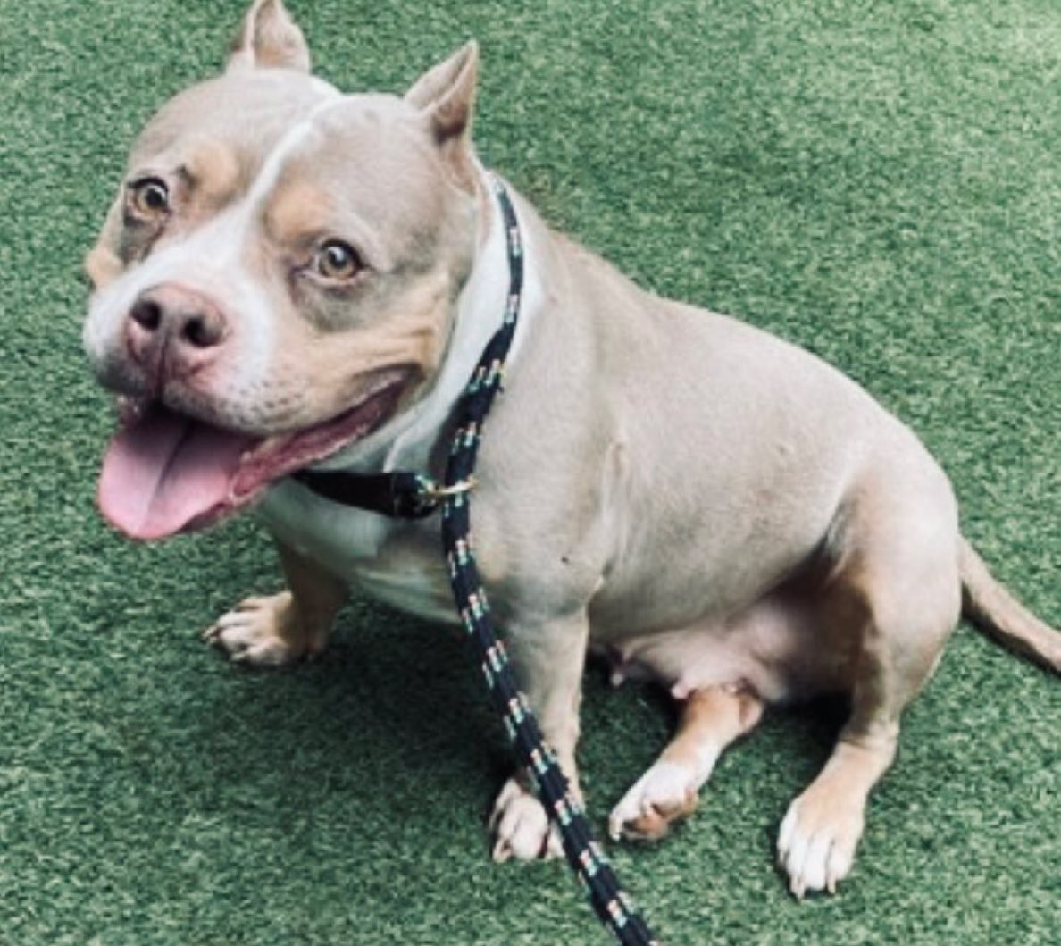 Julie🌻🐾 tweet media