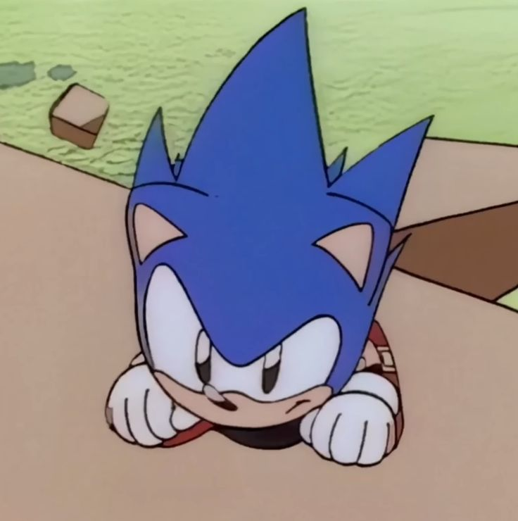 harley ˶ᵔ ᵕ ᵔ˶ tweet media