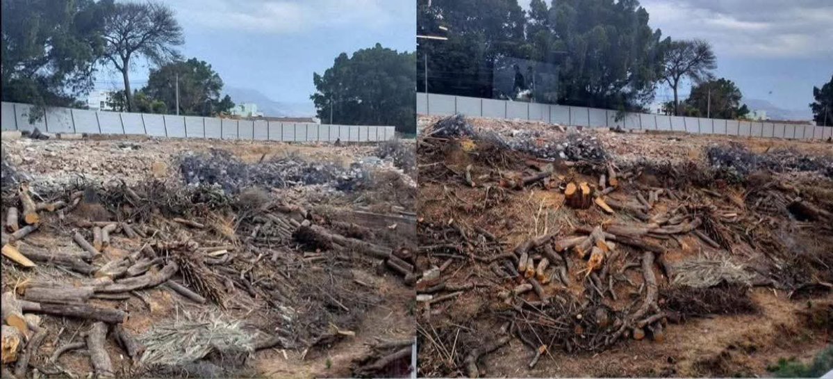 Zona Roja Oaxaca tweet media