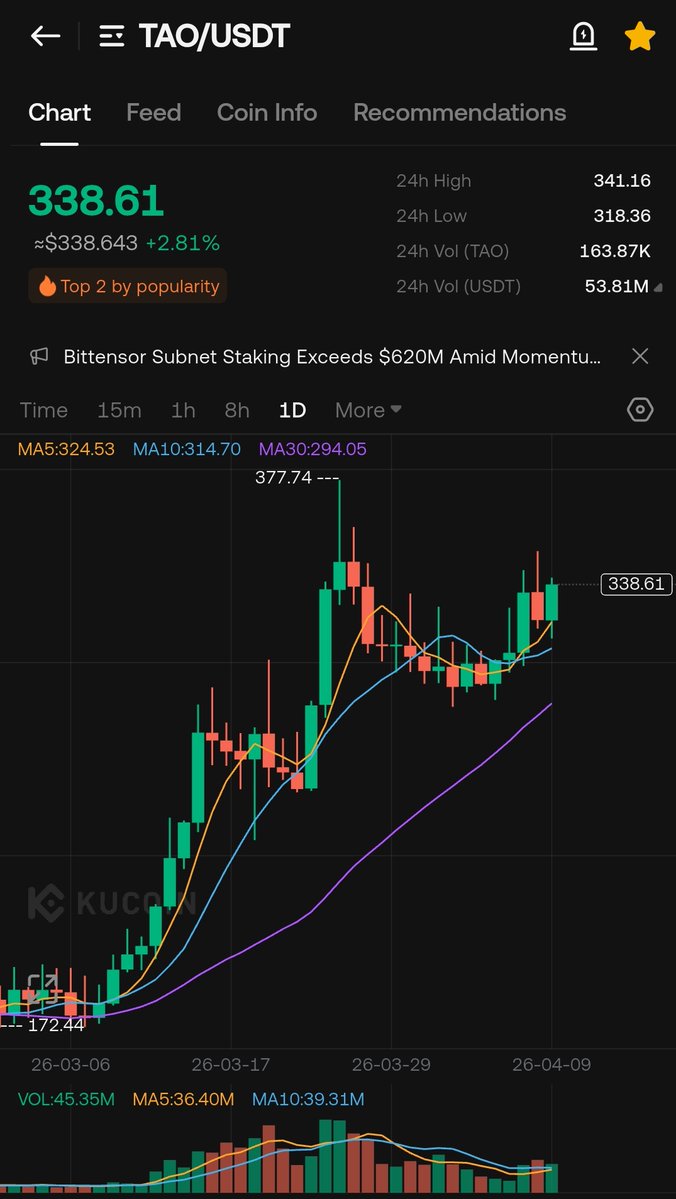 WIZZ🥷 ( beware scammers ) tweet media