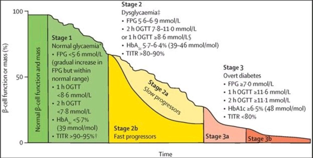 Dr Rishan Euskal katua tweet media