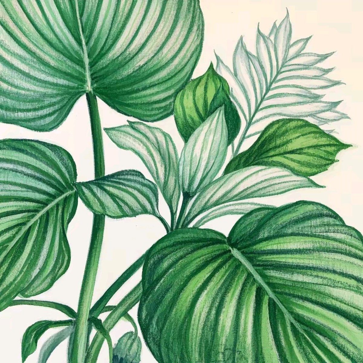 Pamela Durfee tweet media