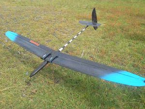 杉浦商店 tweet media