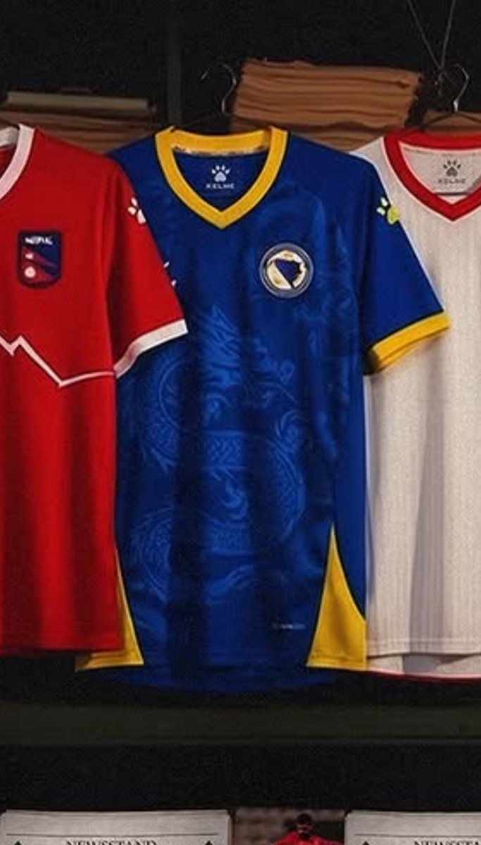 EnisGutic's tweet image. The new bosnia kit for the world cup leaked. Not that much of a difference to the jersey prior to thus.