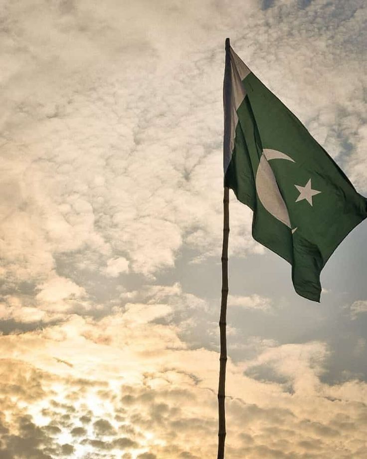 Pakistan First Global Watch tweet media
