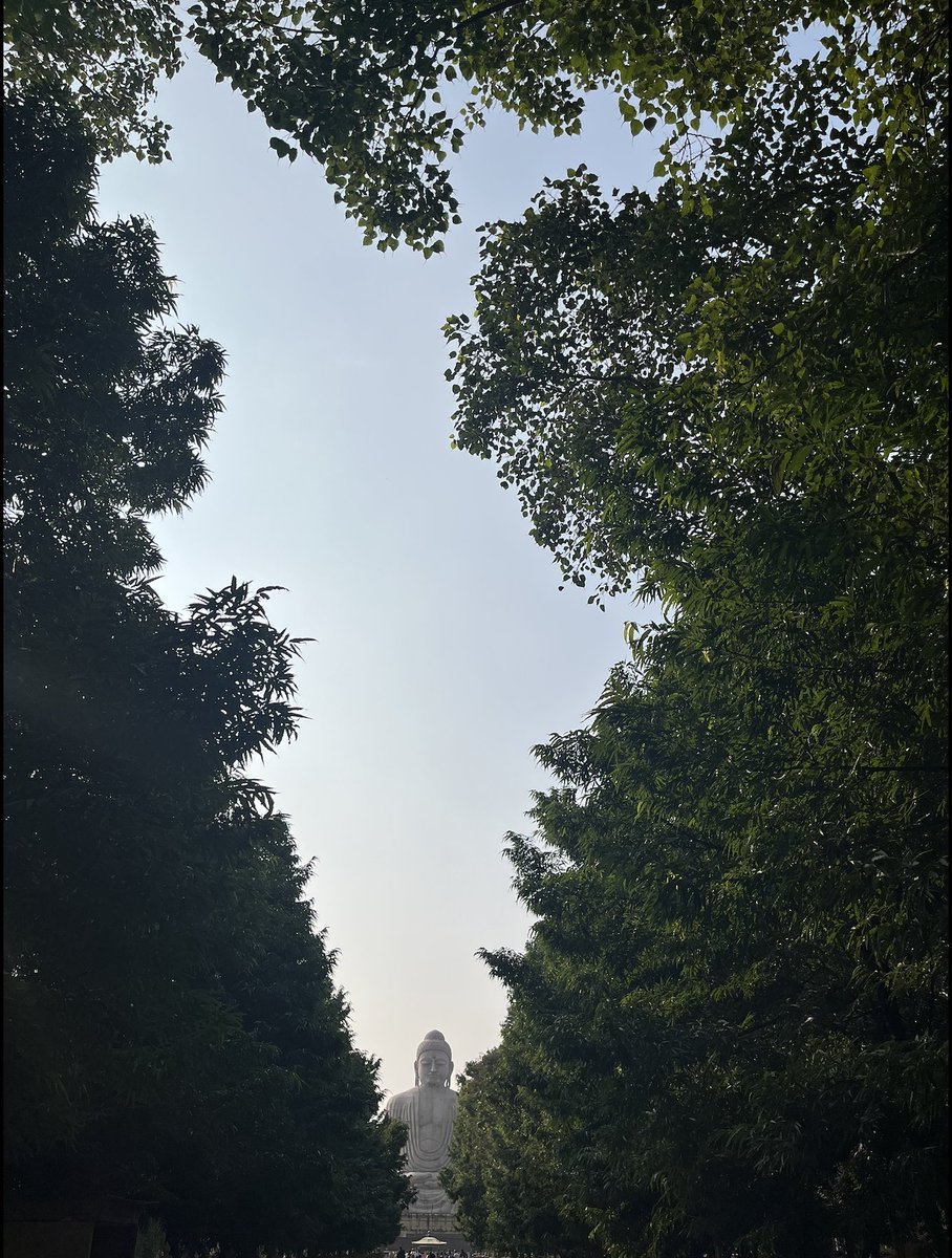 Captured this amazing moment in 2023 at Bodh Gaya trees naturally forming the map of India, emerging from the Buddha.

#BodhGaya #IncredibleIndia #IndiaPhotography #NatureArt #SpiritualIndia