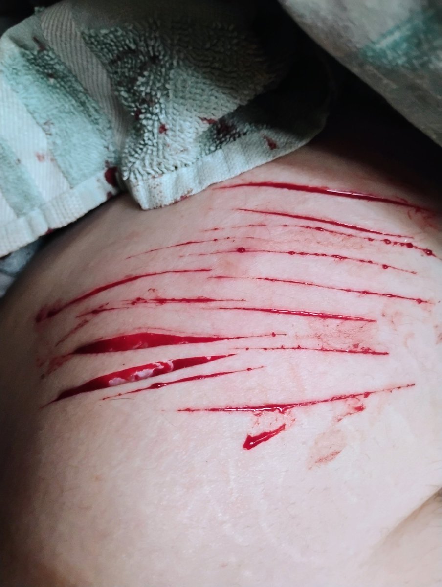 Zai | Shedtwt tweet media