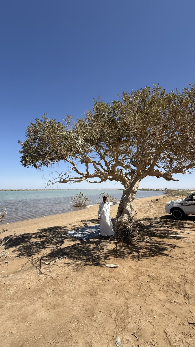 مروان الجهني tweet media