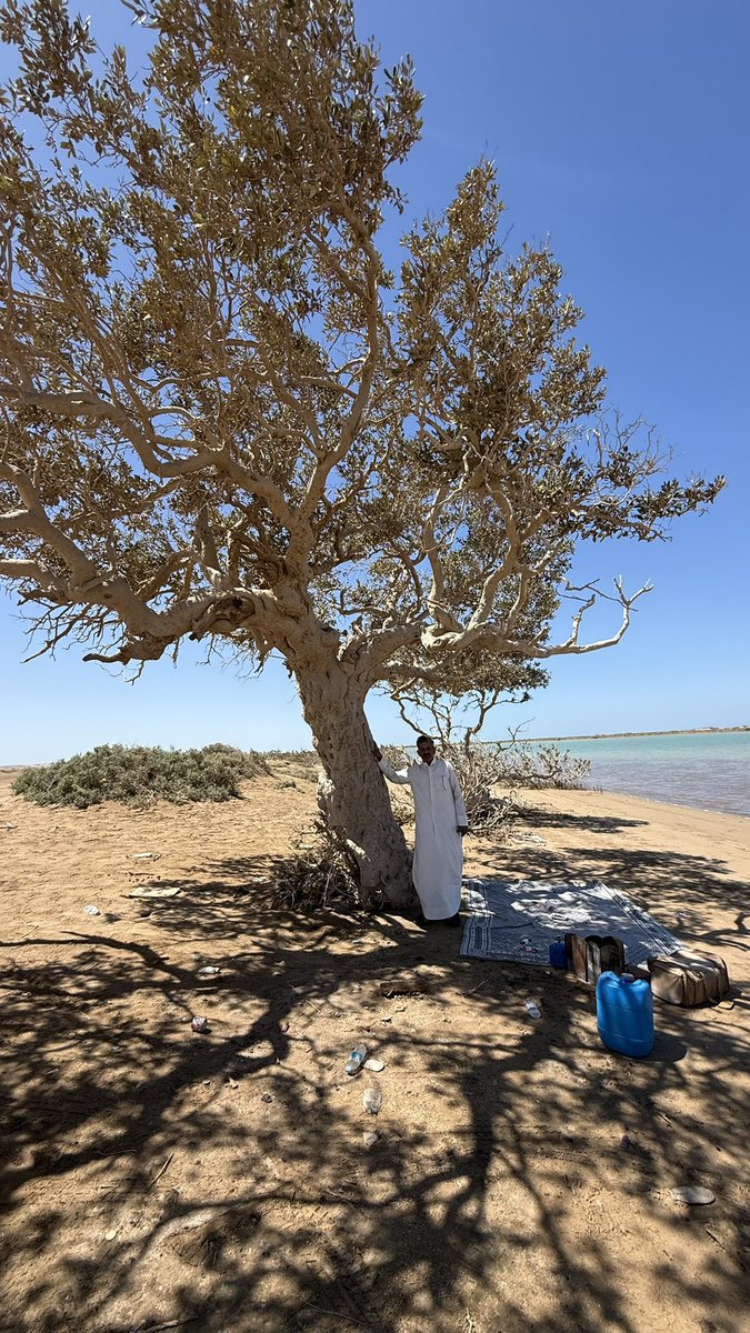 مروان الجهني tweet media