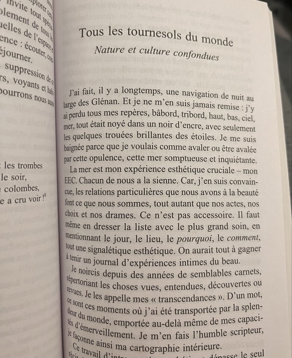 Ангел tweet media