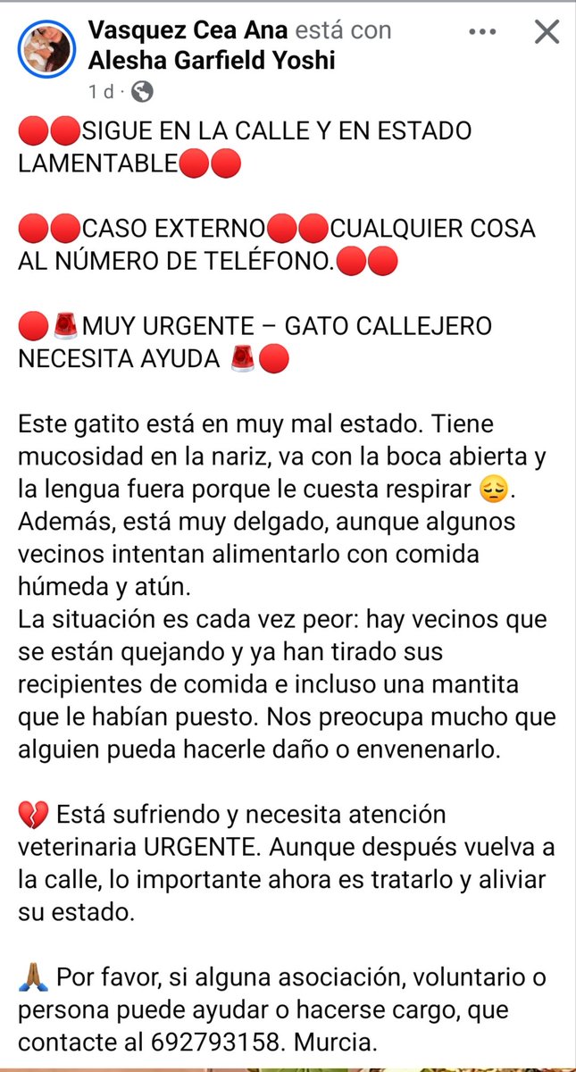 CefiroyCoco's tweet photo. @Erta2017
@ManuelVzquezDa1
@lolorubio42

Por favor, este animalito necesita AYUDA URGENTE 📢🆘 
#Murcia 692793158
Está muy mal y muy débil. Algunos vecinos lo alimentan pero hay otros q quieren acabar con él.
Por favor, alguien q pueda prestar 🆘 🆘 🆘 
DIFUSIÓN 🆘 📢 🆘 https://t.co/QoUWdr2paq