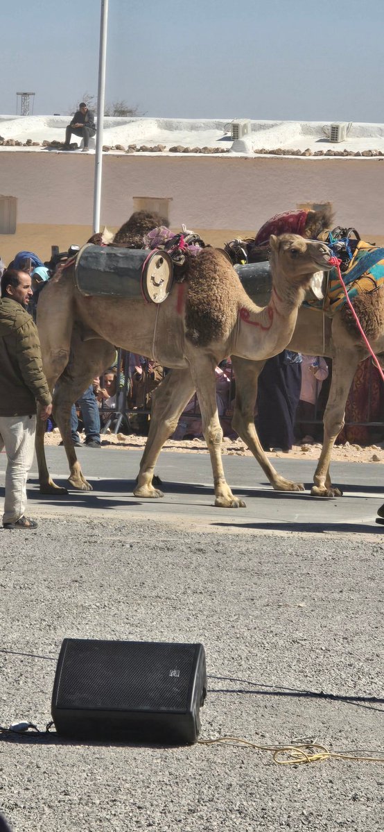 Cuando el mundo observa con estupefacción los horrores de la política agresiva y criminal de Estados Unidos e Israel en el Medio Oriente, nuestros médicos ofrecen salud de primer nivel y profunda humanidad en los campamentos de refugiados saharauis en Tindouf, Argelia.