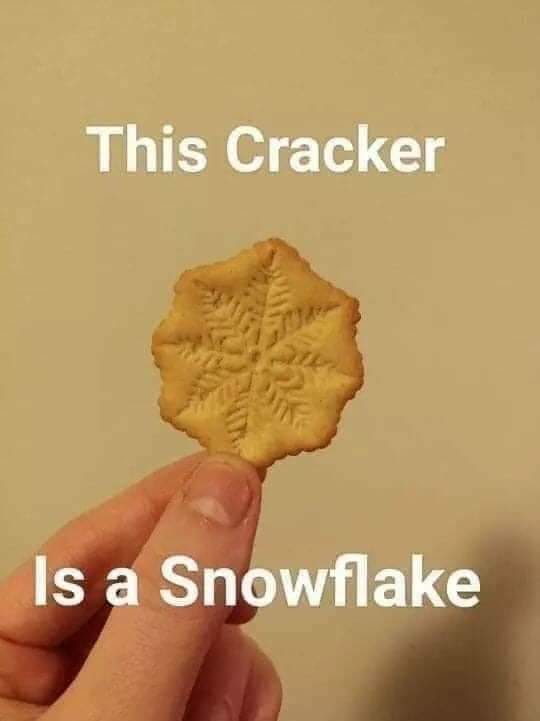 WhoDeyPunk tweet media