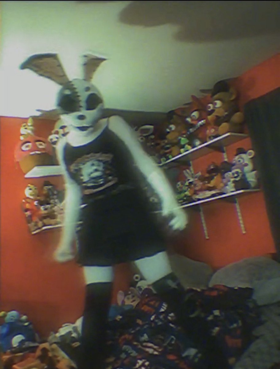 M.R. Springs 🐢🐇 tweet media