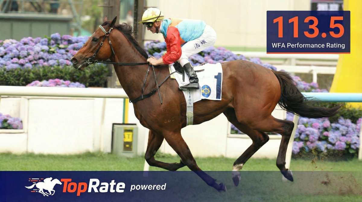 Daniel O'Sullivan tweet media