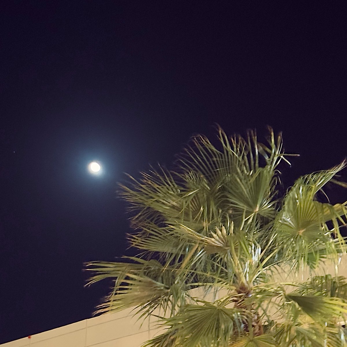 Dash0i's tweet photo. منطقة الراحة ❤️ https://t.co/cq7aGnYq3g
