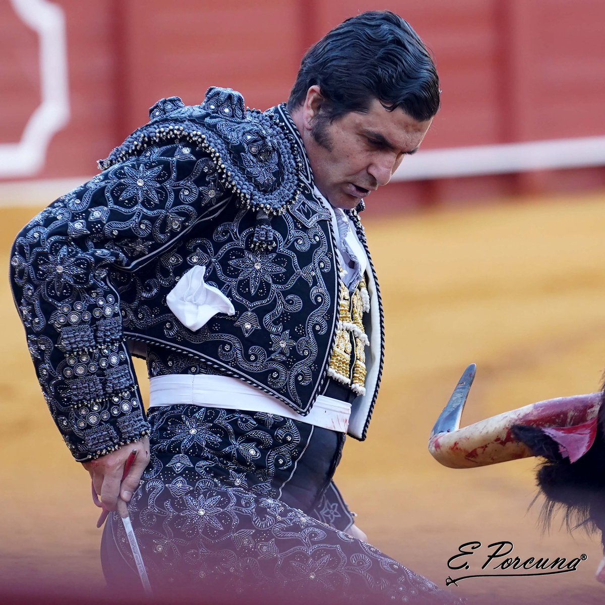 EDUFOTOROS's tweet photo. Morante de la Puebla https://t.co/ig2Drtsw8T
