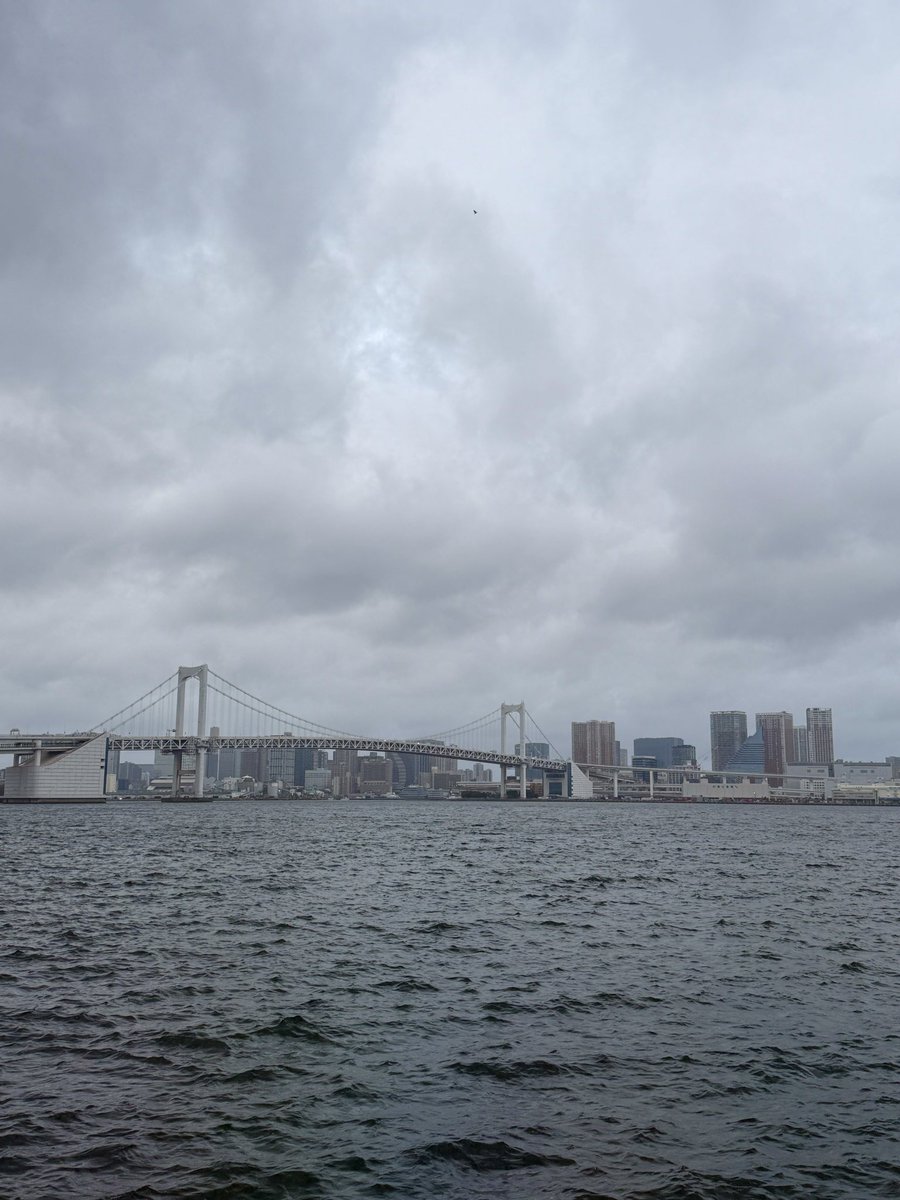 cleopatras777's tweet image. おはようございます😊
4月10日(金)  5:40
　気温16℃

東京は雨の1日になりそう😫
晴れと雨の日が交互になり安定しない天気が続きますねー😅
桜🌸はソメイヨシノから八重桜へとバトンタッチしそうです😄

本日も宜しくお願いします🏃‍♂️

#tokyo  #イマソラ
#レインボーブリッジ