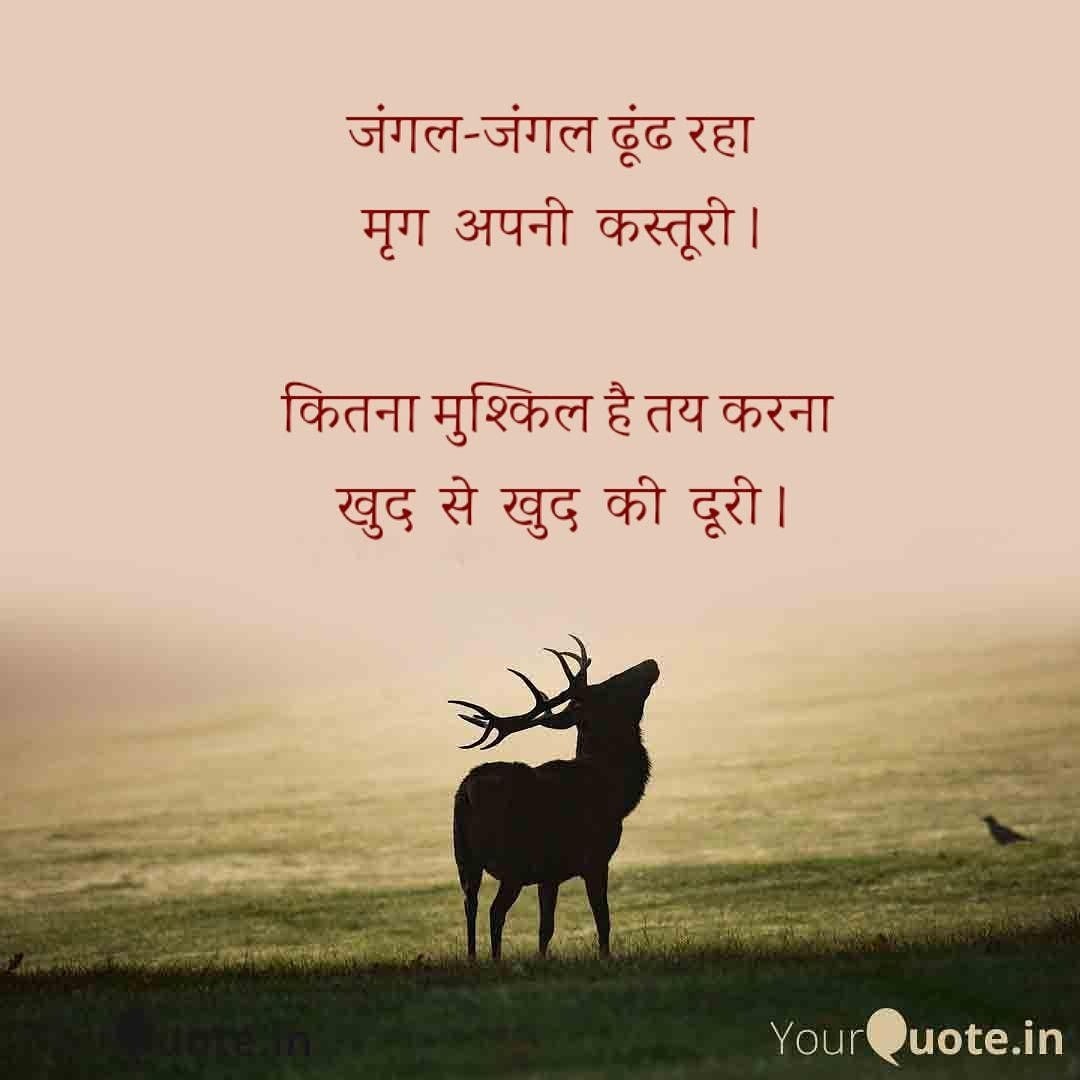 धाकड़ tweet media