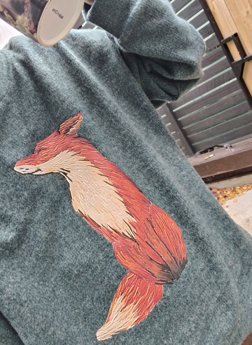 fishyfox (@foxdoesfish) / Posts / X