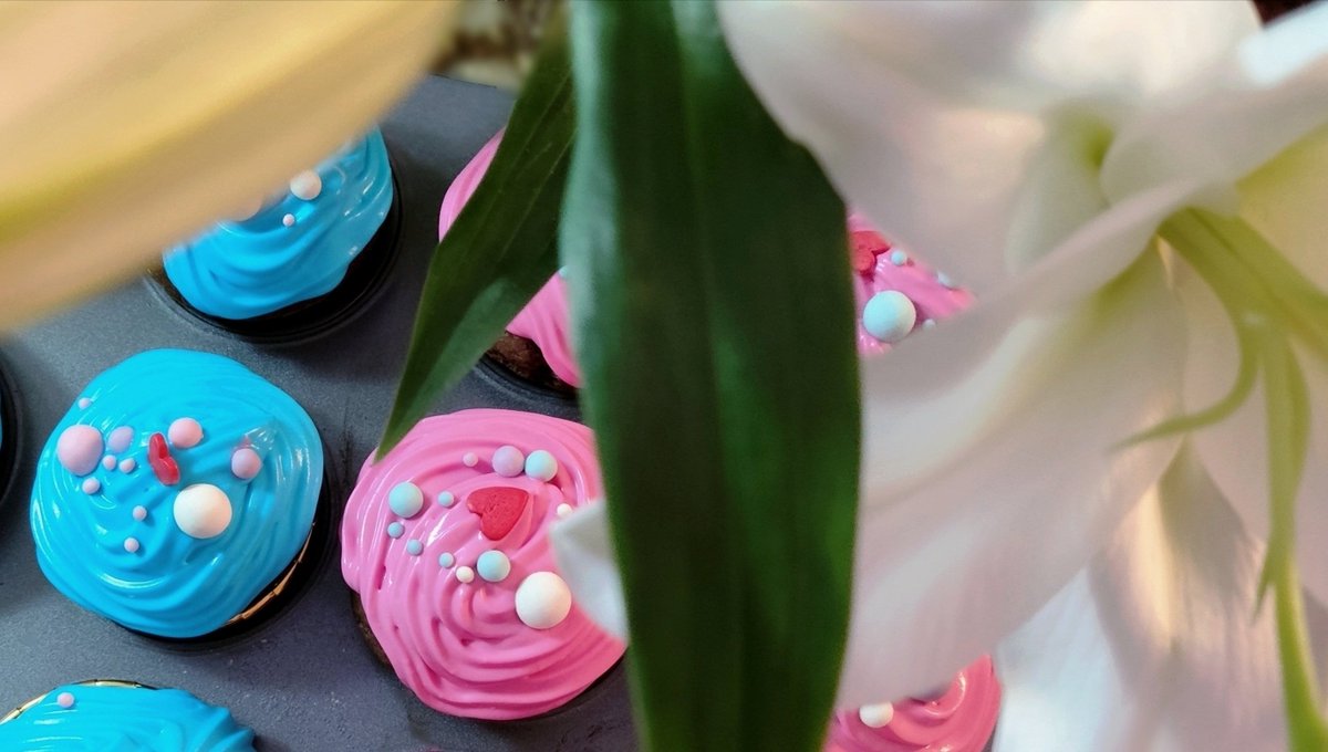 Коллективный разум никому не должен tweet media