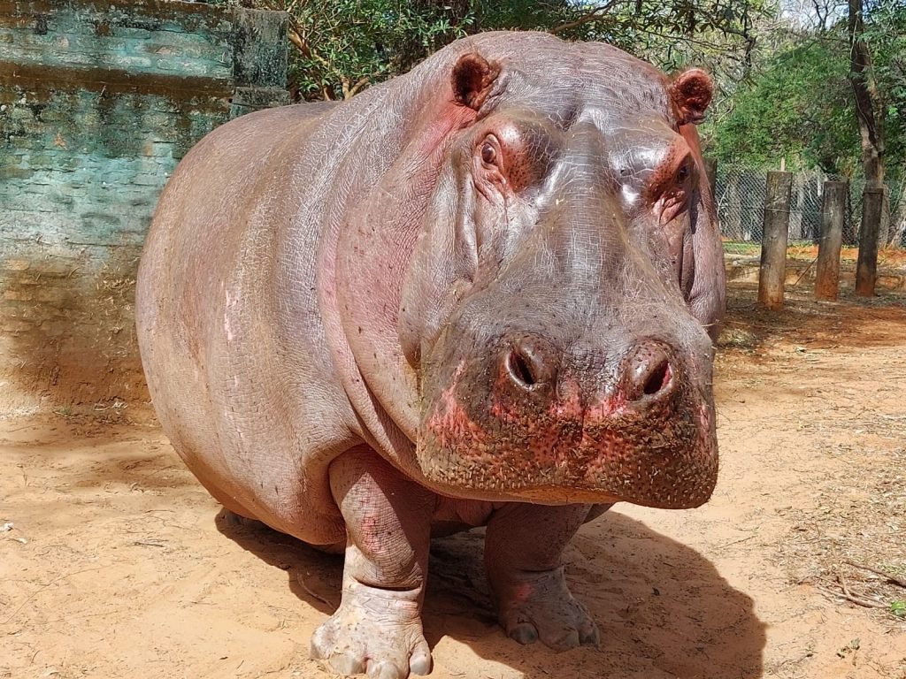 DELPY 📱🎬 tweet media