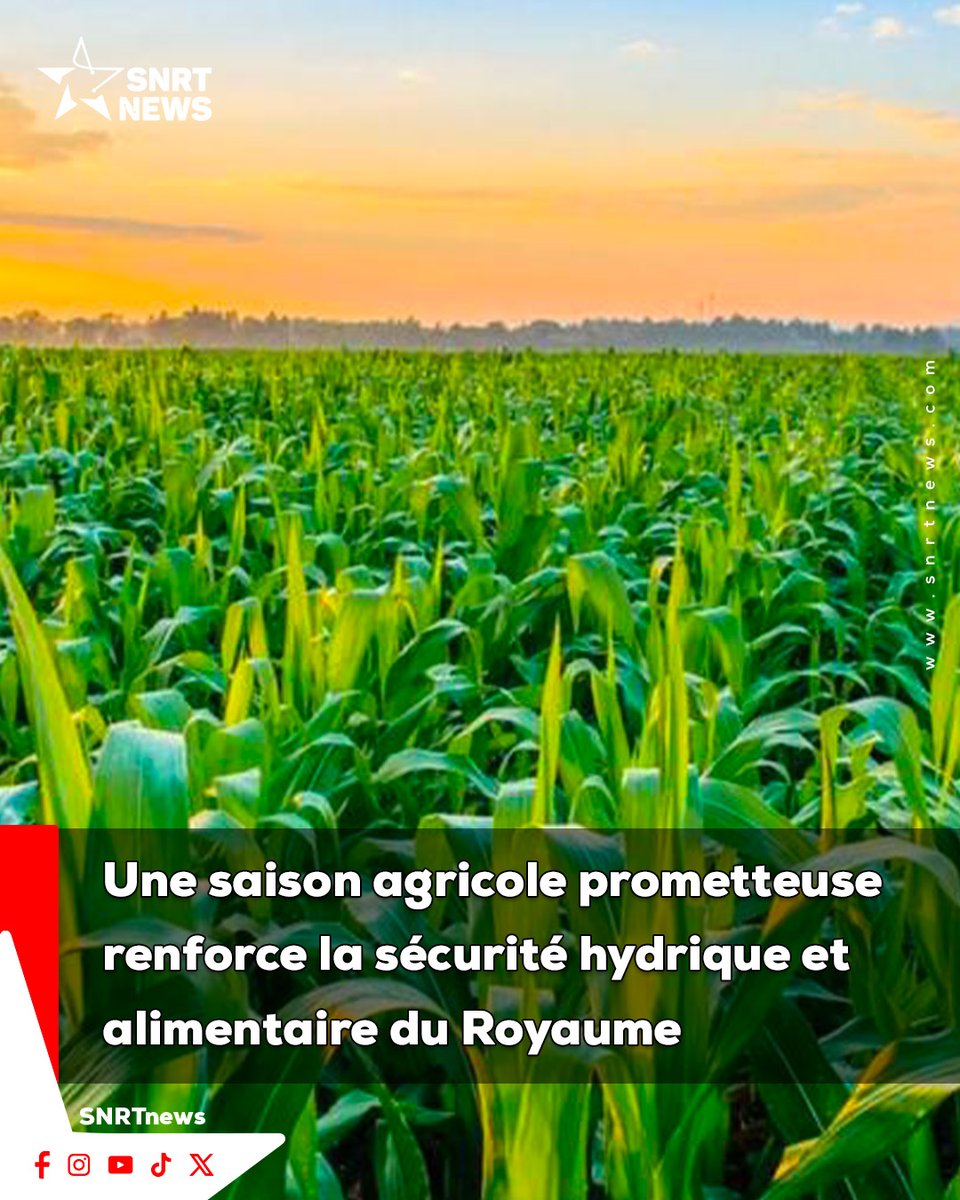 SNRTNewsfr tweet media