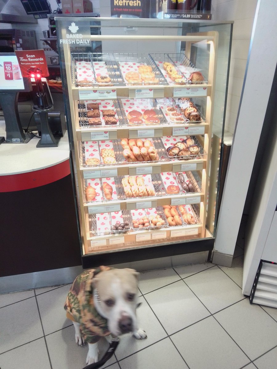 LebrockTony's tweet photo. Thur๐
๐พ Joey's Breakie๐พ๐คค
๐๐พ๐ค๐ค๐๐๐ซฐ๐ค๐ค๐๐พ
#timhortons #timbits #pitties #rednoselife #pittrageous #dogvibes #snackvibes #petx
#agooddaytobeadog #staffies https://t.co/bi4M6I2fjN