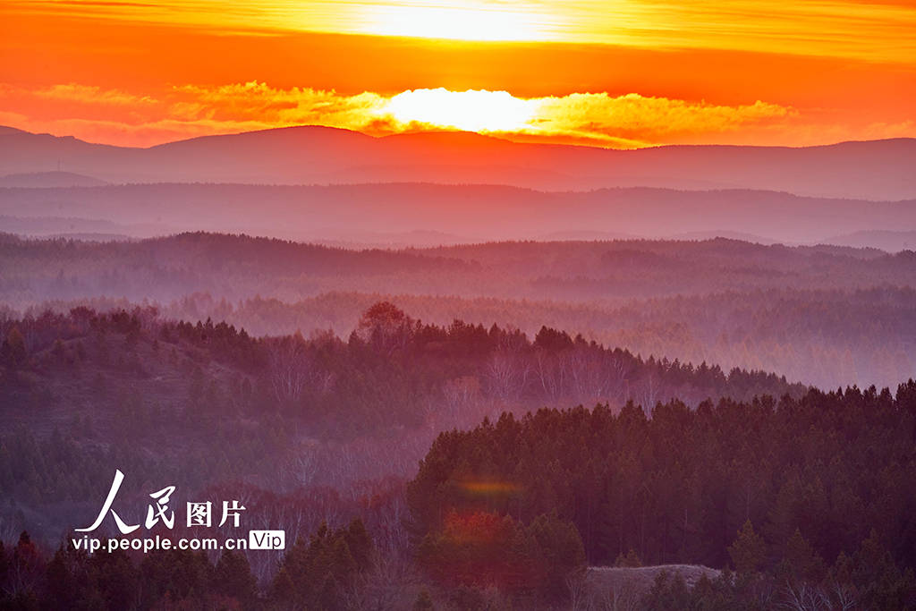 LittleBalloon tweet media