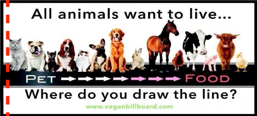 PlushieMistress tweet media