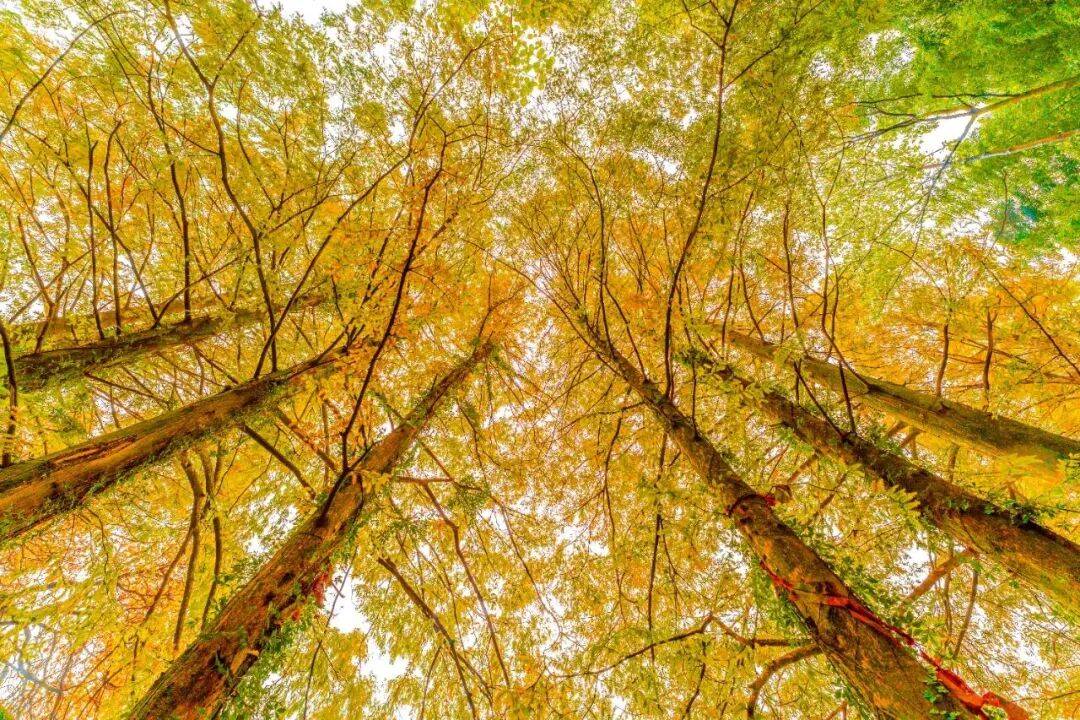 Kathy Landers tweet media