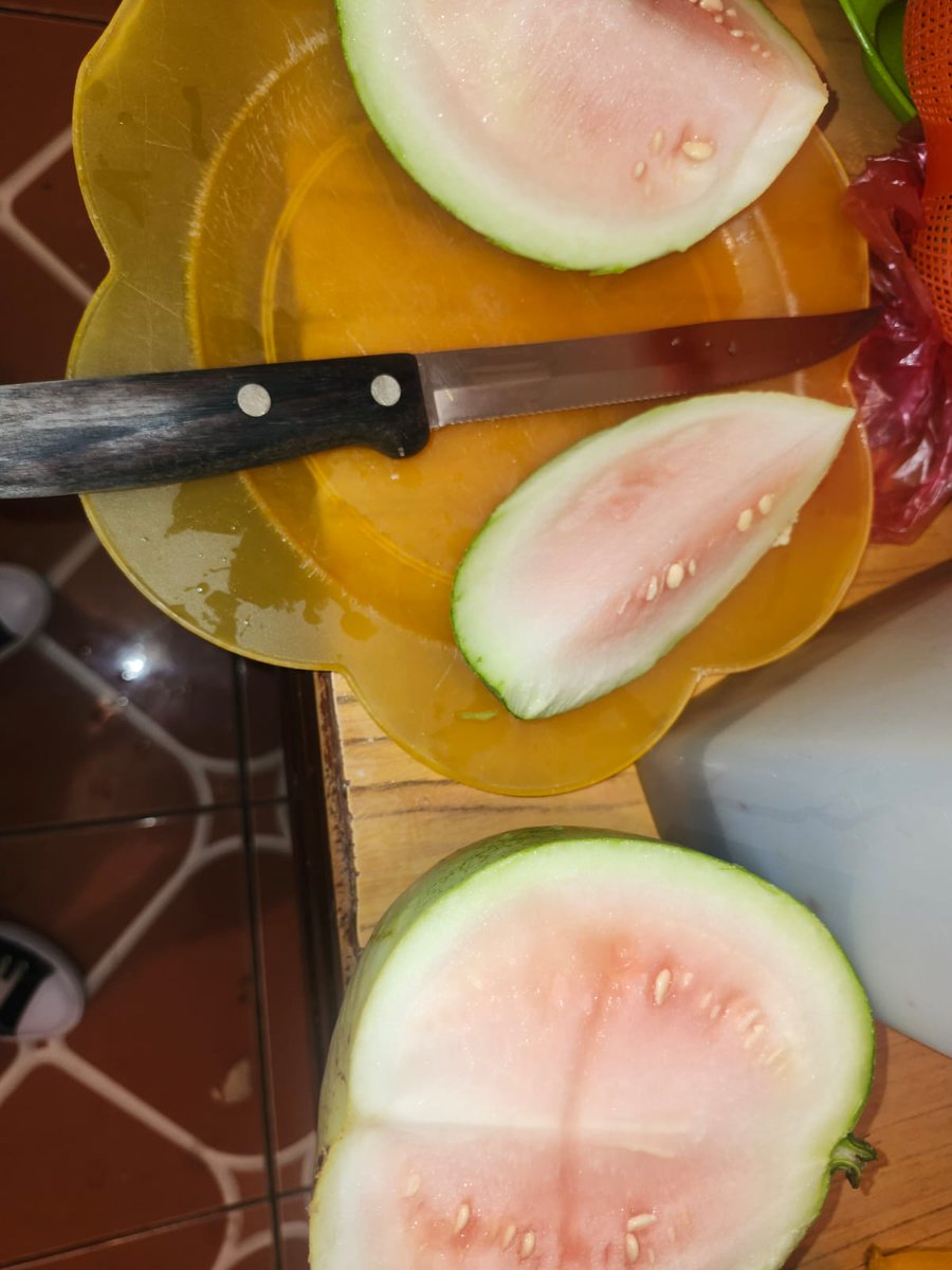 crcrosales's tweet photo. @BArevalodeLeon los alimentos que le dan a los niños de las Escuelitas, deveras qué poca vergüenza... https://t.co/LrN7WssoG4