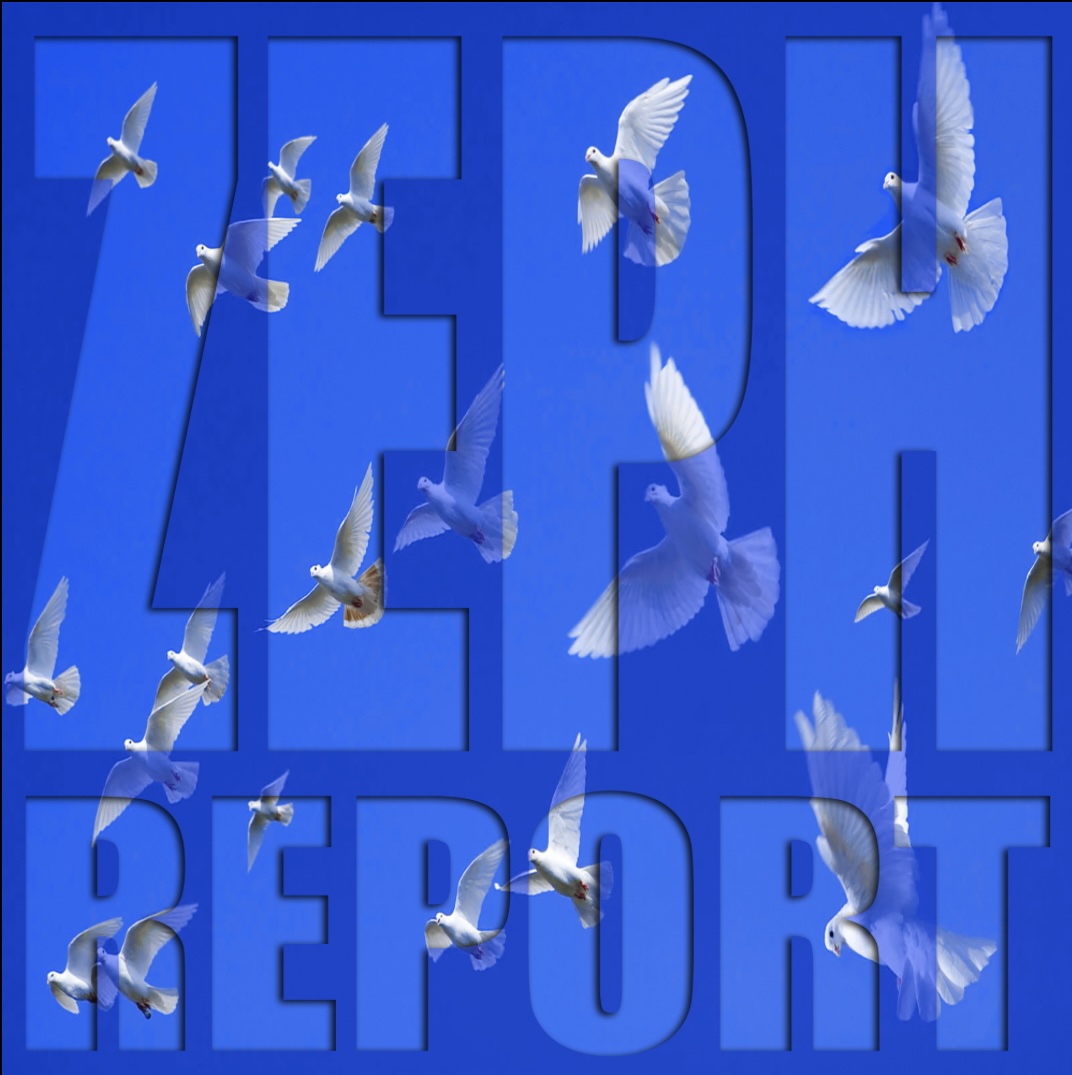 Zeph Report tweet media