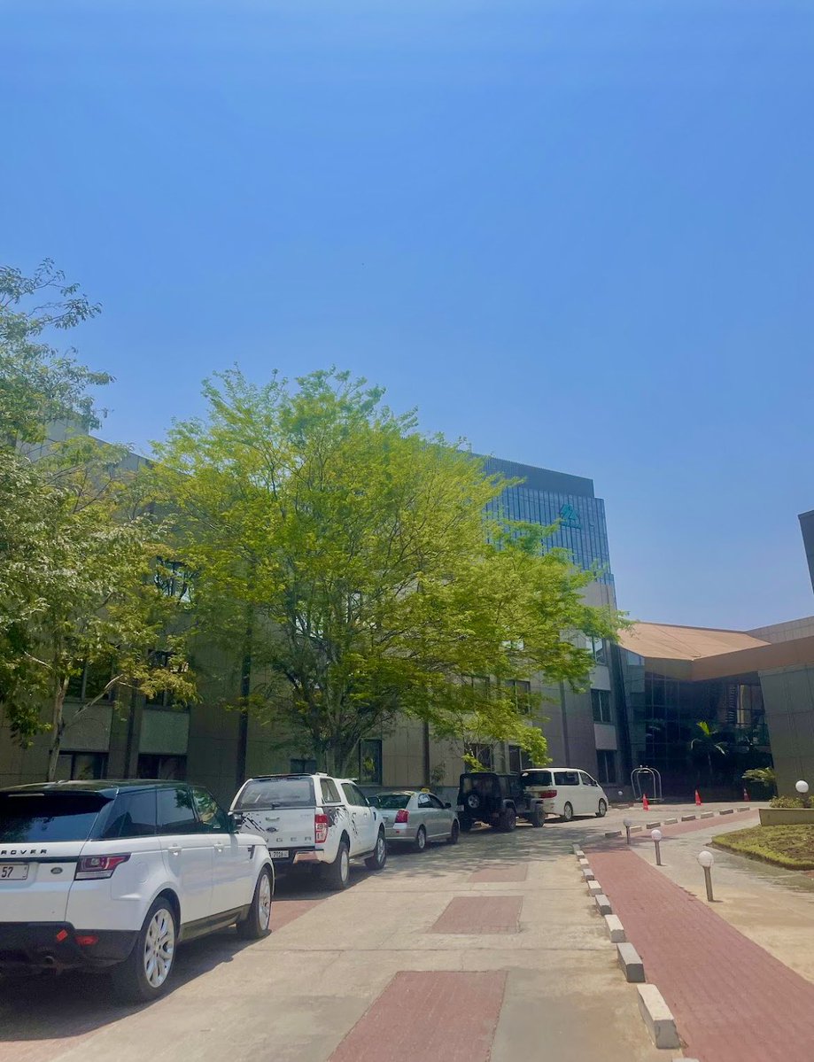 Sibeso Mlotshwa🪼🏀 tweet media