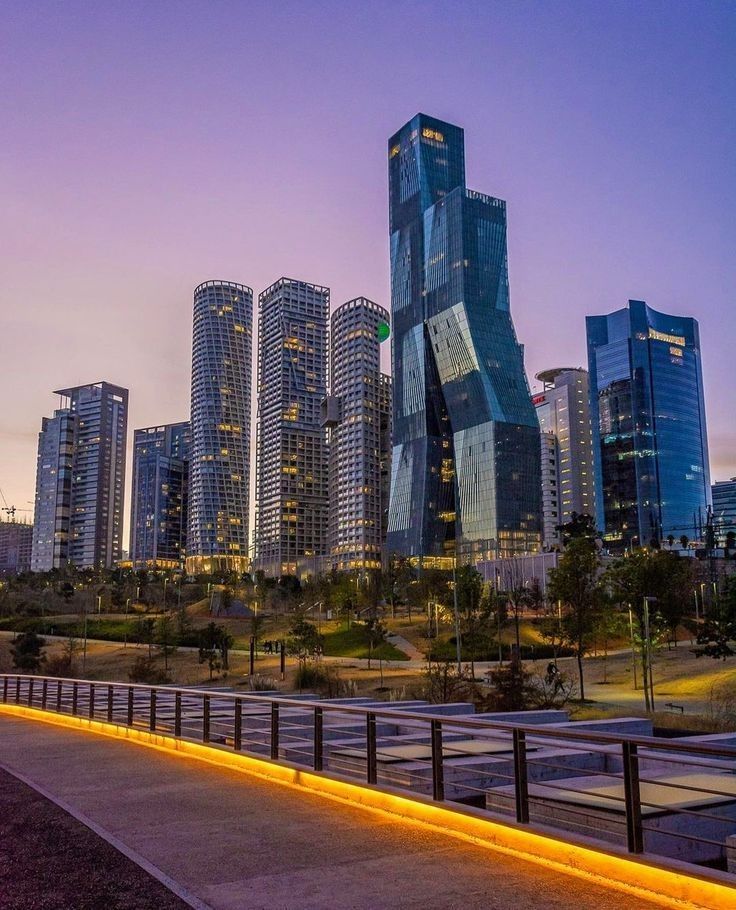 WORLD VIEW tweet media