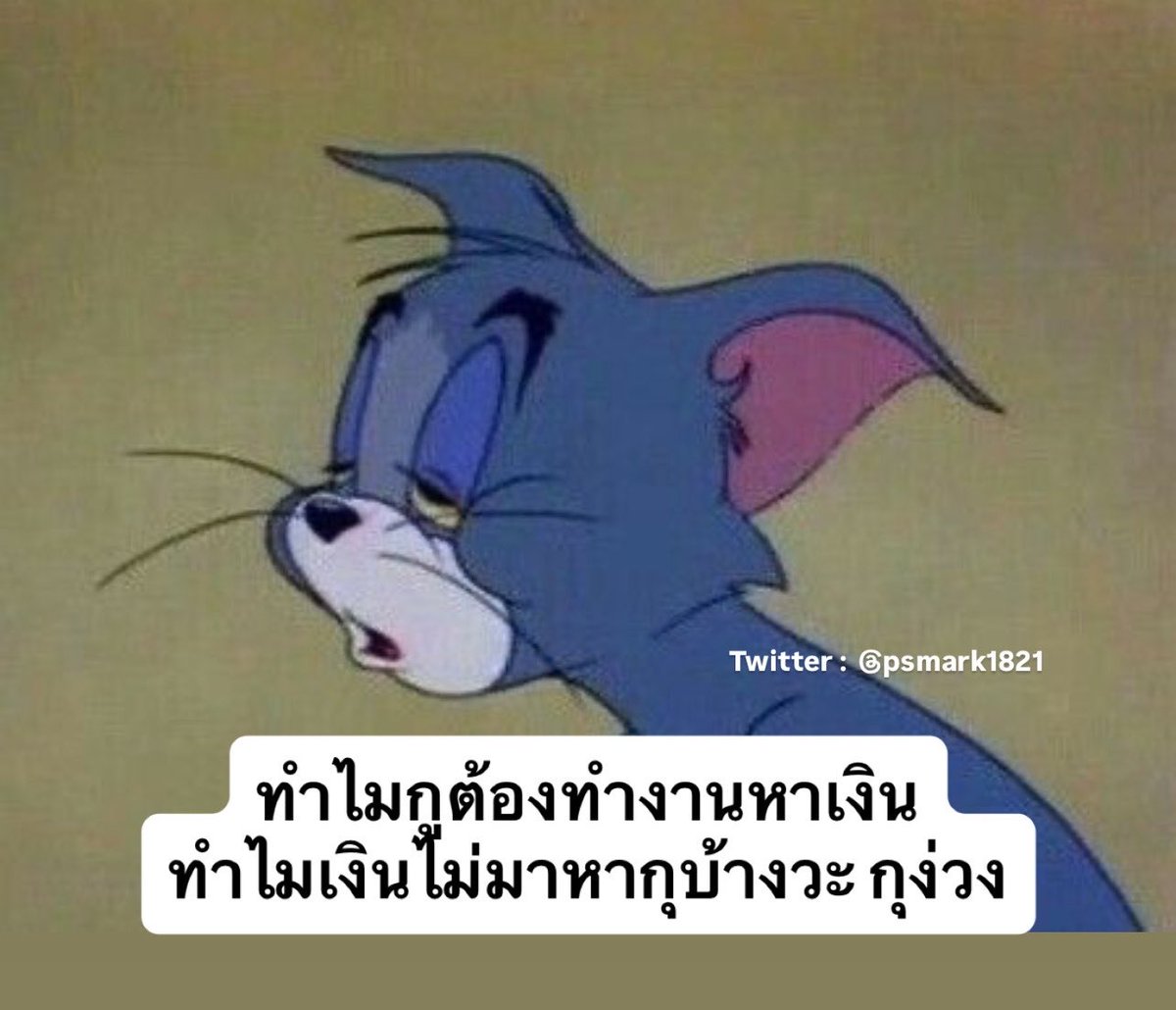 ช่างแม่ง🐰🏳️‍🌈 tweet media