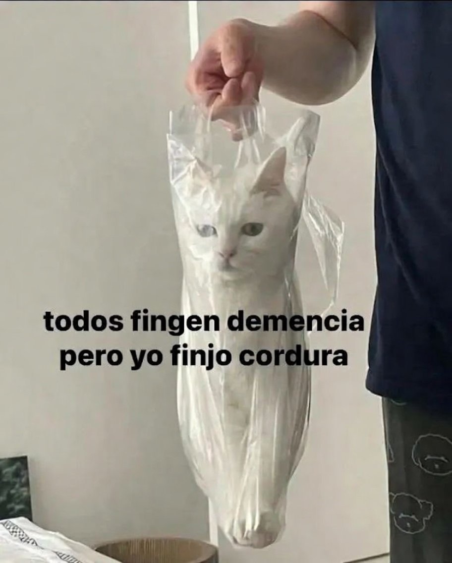 Íntimo 🌒 tweet media