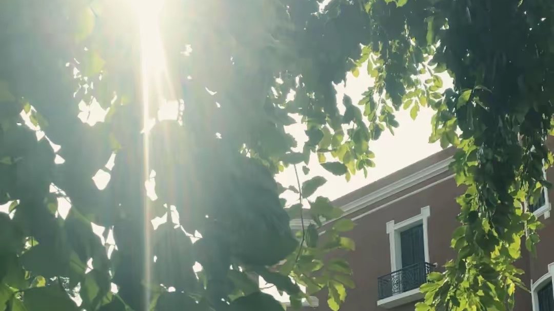 المُهندسة أَبرار 👷🏽‍♀️ #KeepEyesOnSudan tweet media