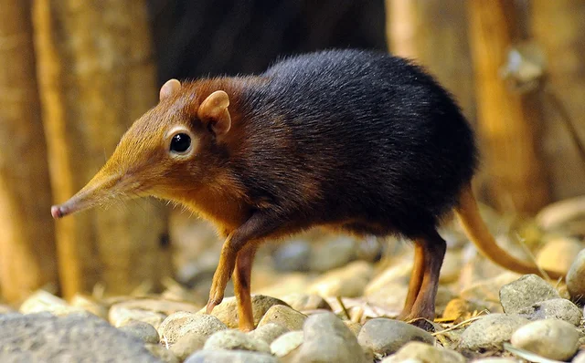 Xelly🌹 tweet media