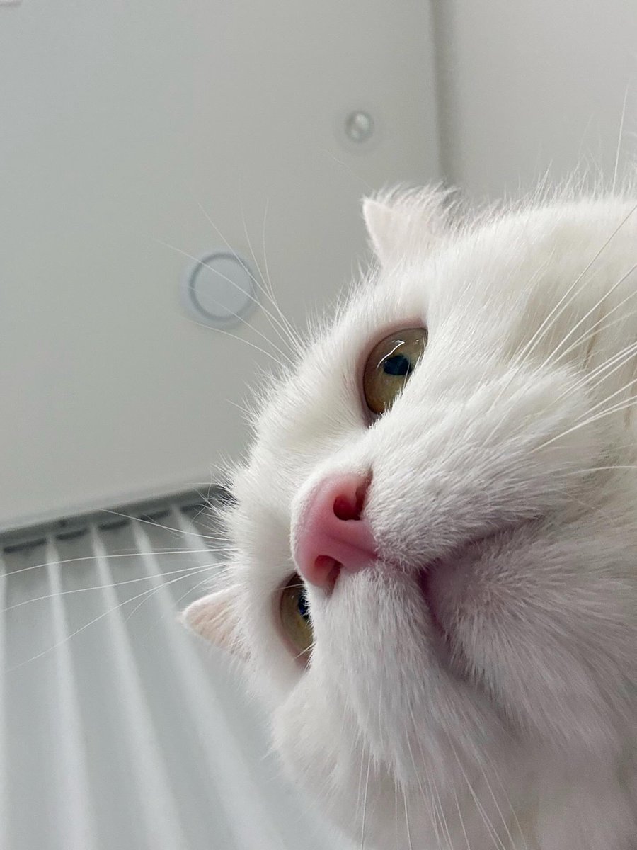 World Click (@worldclick56) on Twitter photo 