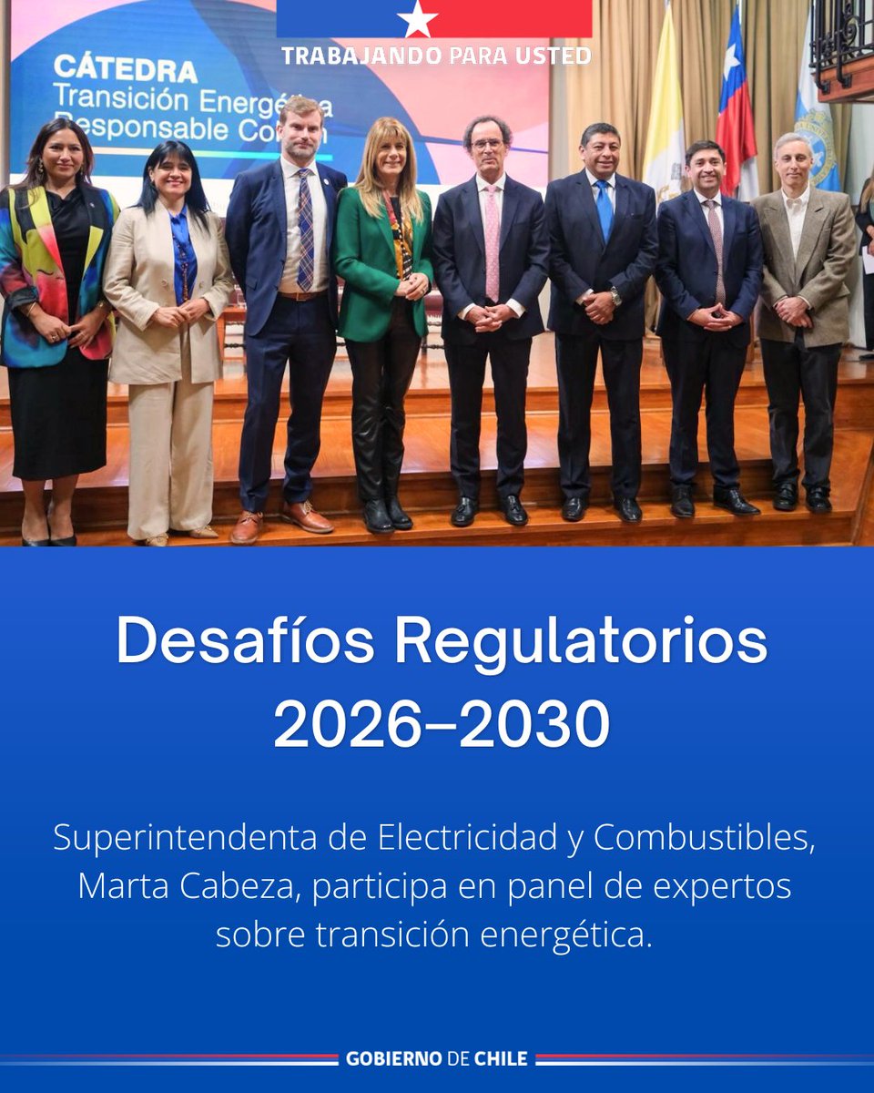 Superintendencia de Electricidad y Combustibles tweet media