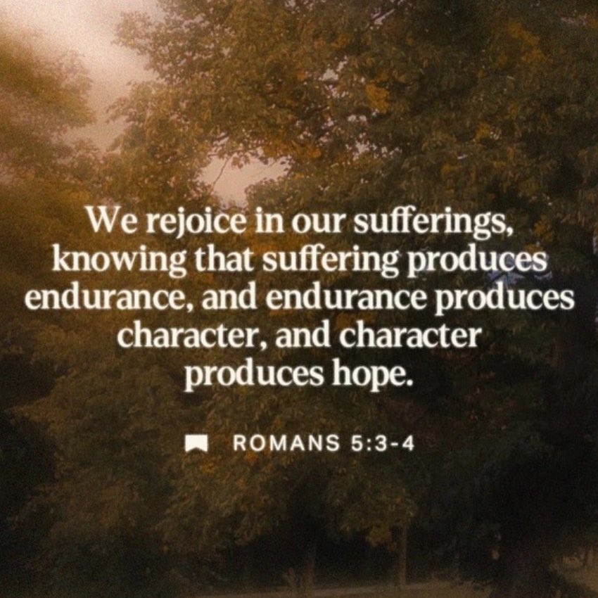 #RugbySaracens tweet media