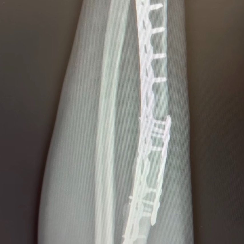 #RugbySaracens tweet media