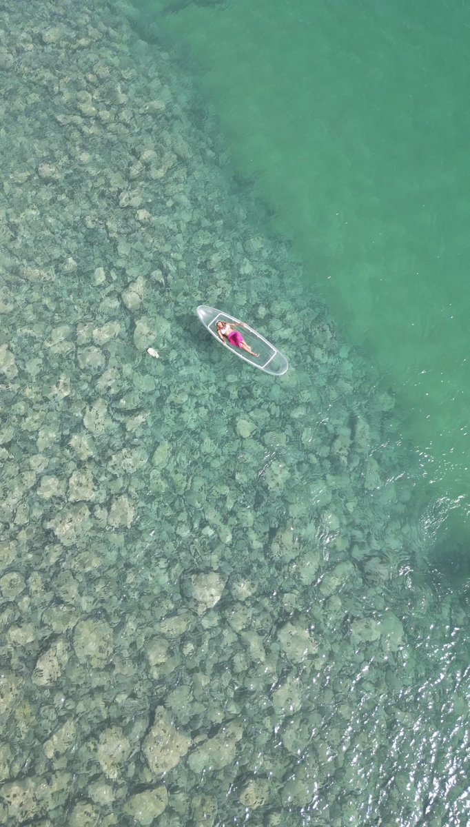 Senegal Nautique tweet media