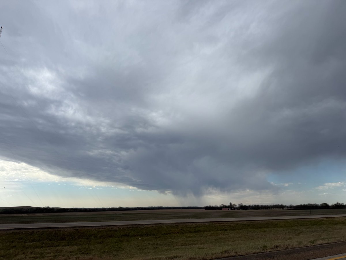 Nicole Loeffler tweet media