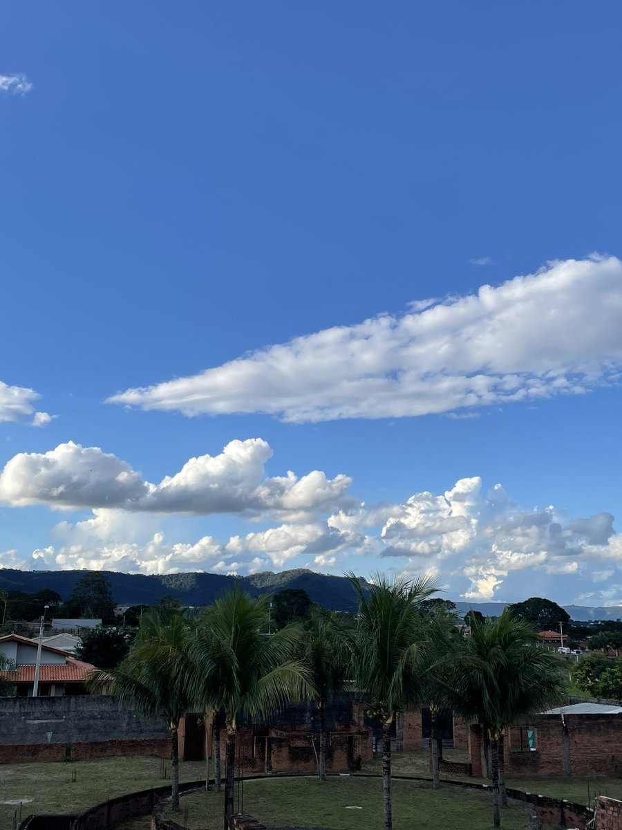 baby aly ophiciall tweet media